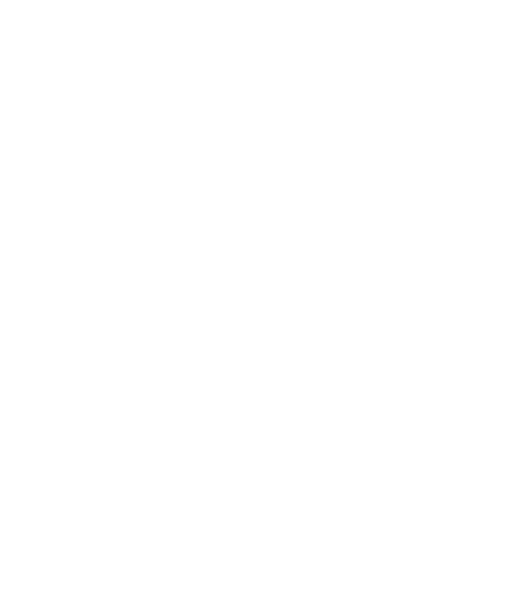 Witchborn Systems Logo